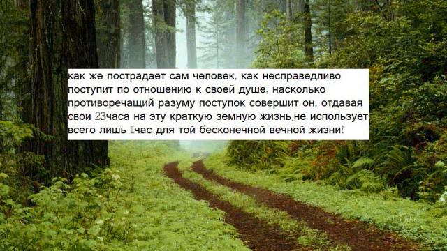 СЕМНАДЦАТОЕ СЛОВО смотреть онлайн