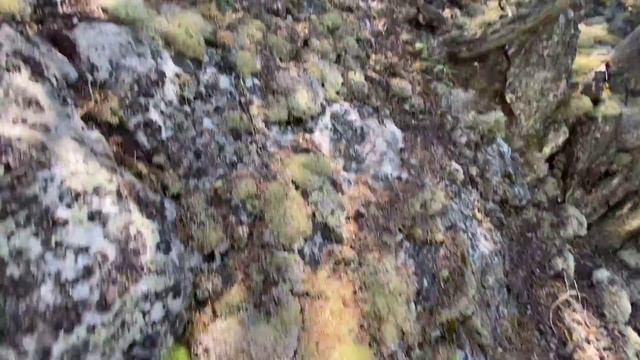 4(К) Кросс-поход Столбища - Инзерские Зубчатки (полный траверс) - 1 серия смотреть онлайн