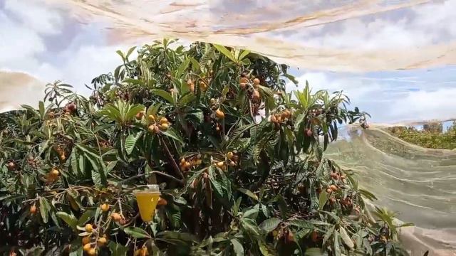 Израиль удивительная страна! Путешествия по Израилю! Жизнь в Израиле после эмиграции! Репатриация! смотреть онлайн