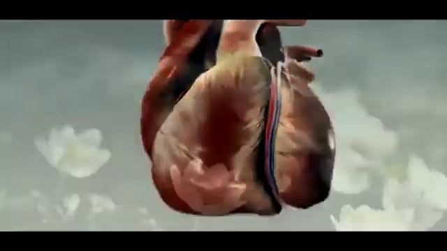 Представь "Ты решил бросить курить! " смотреть онлайн