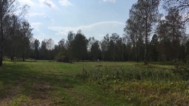 Жизнь в деревне. Лето 2017. смотреть онлайн