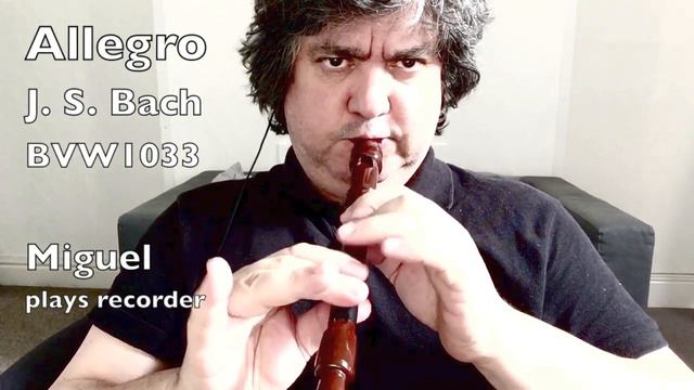 Allegro BVW1033 by J. S. Bach, on recorder смотреть онлайн