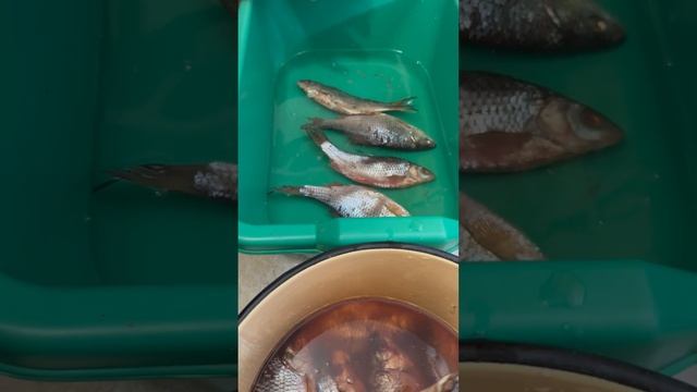 Фантастические Миры