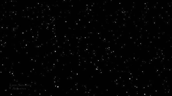 Stars | White Noise | ?