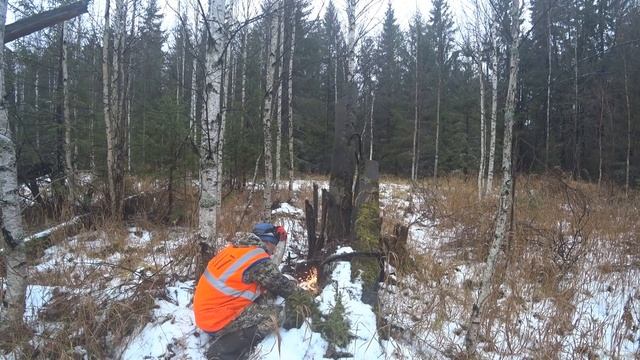 ПОЕХАЛ В ЛЕС ГДЕ В ПРОШЛЫЙ РАЗ НАШЁЛ МНОГО РЕЛЬС! НО ВМЕСТО ЭТОГО НАШЁЛ МЕДЬ И МНОГО ДРУГОГО МЕТАЛЛ смотреть онлайн