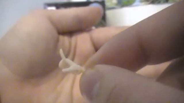 Misaka Mikoto Figma Review смотреть онлайн