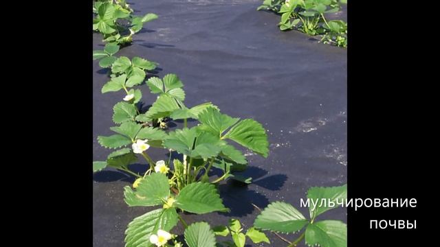 Лутрасил Термоселект смотреть онлайн