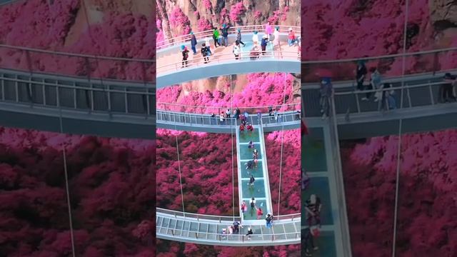 Китай,??Провинция Чжэцзян. смотреть онлайн