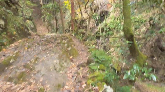 Trekking from Yamashiro Takao to Arashiyama Part 2 смотреть онлайн