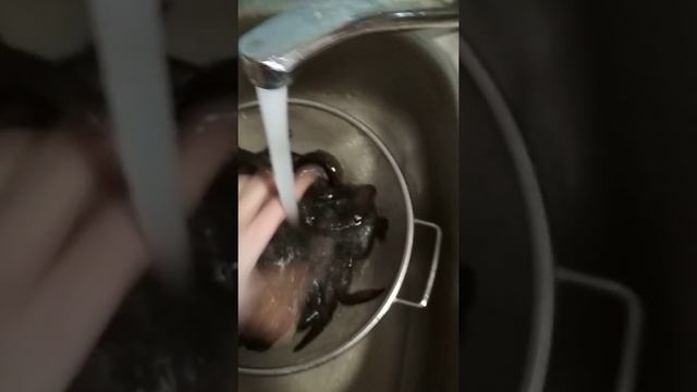 КАК ПОЧИСТИТЬ И ПОЖАРИТЬ ВЬЮНА?! смотреть онлайн