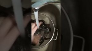 КАК ПОЧИСТИТЬ И ПОЖАРИТЬ ВЬЮНА?!