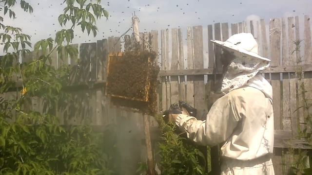 Копия видео "Что такое Роевня-Не знаю" смотреть онлайн
