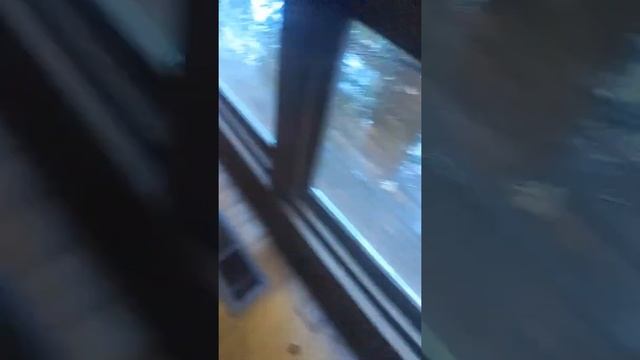 10 second speed run смотреть онлайн