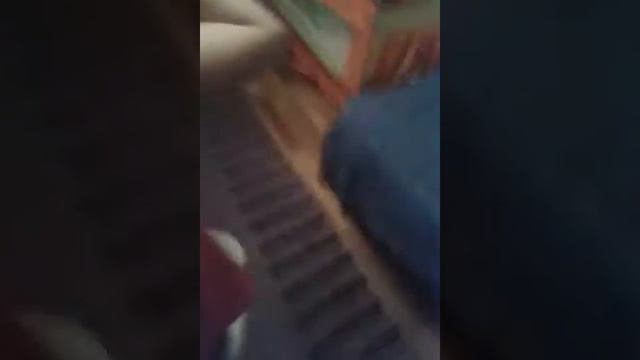 Ищем хомяка смотреть онлайн