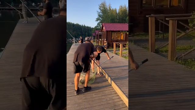 Ловля карася на болтушку #рыбалка #большаярыба смотреть онлайн