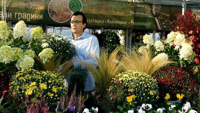 ИЗБОР НА ЕСЕНСКИ РАСТЕНИЈА смотреть онлайн