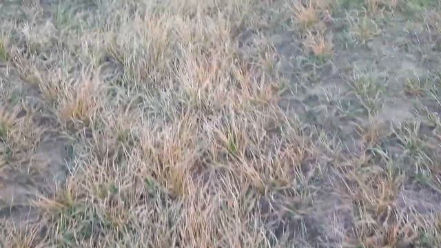 Кубань в Усть лабинске смотреть онлайн