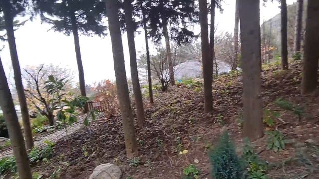 Крым Ялта, Ливадийский и Воронцовский дворцы смотреть онлайн