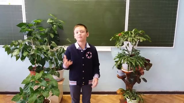 Страна читающая — Мирослав Косолапов читает произведение «Зеркало и обезьяна» И. А. Крылова смотреть онлайн