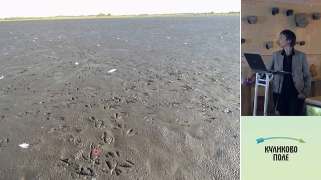 Лекция «Птицы Куликова поля». Часть 2 смотреть онлайн