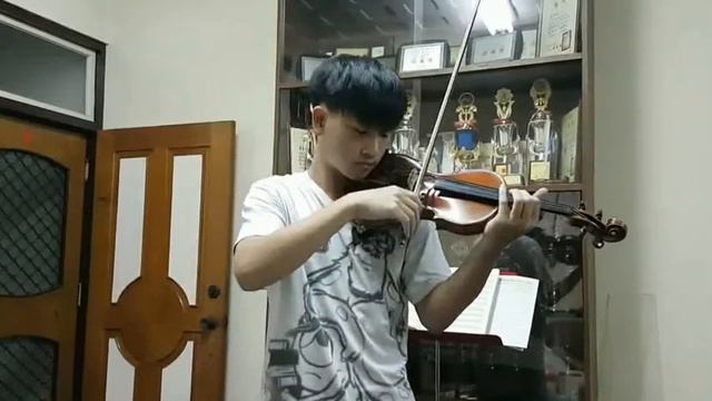 Davide Somenzi 1995 Violin Made In Cremona, Italy.