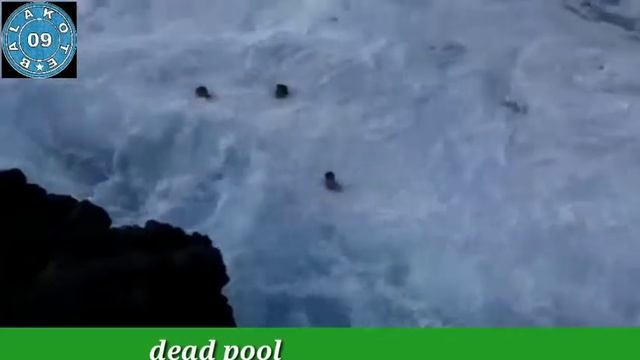 Dead pool see why it's called pool of death very danger (Balakote09) смотреть онлайн