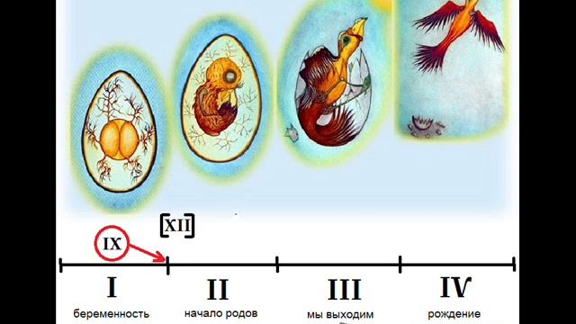 Циклы (4 матрицы рождения) смотреть онлайн