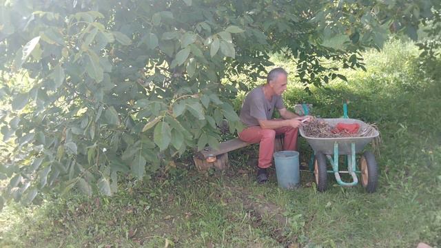 Дачные заботы продолжаются.#дача#теплица#огород#