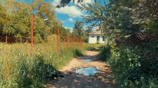 Я больше не хочу, чтобы мать присутствовала в моей жизни смотреть онлайн