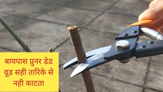 Garden cutting tool- best Secateurs / Pruners / Cutters for roses смотреть онлайн