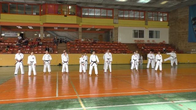 2019.04.27 - Семинар Канчо Такемаса Окуямы, фрагмент 17 смотреть онлайн