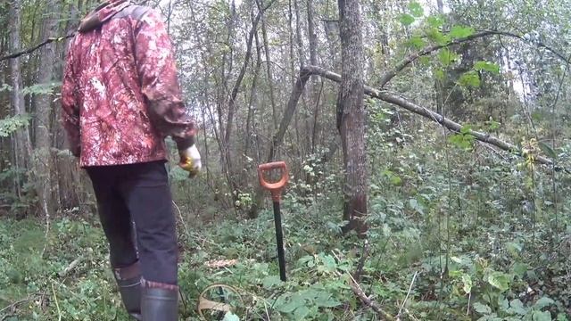 Меня укусила ЗМЕЯ! Но металла полная машина !!! смотреть онлайн