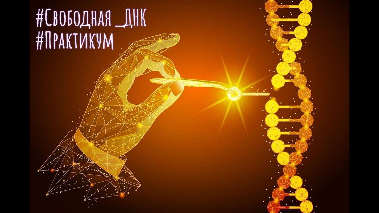 Свободная ДНК: Курс о трансформациях на уровне рода и других воплощений смотреть онлайн