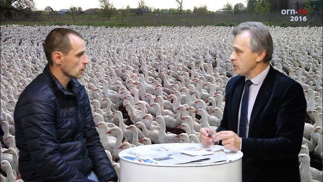 ОГП-TV: Беспредел по дубровенски, или как развлекается местная вертикаль смотреть онлайн