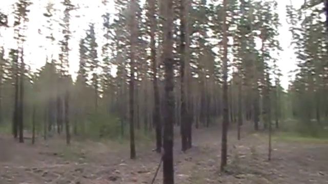 По грибы Волчиха смотреть онлайн