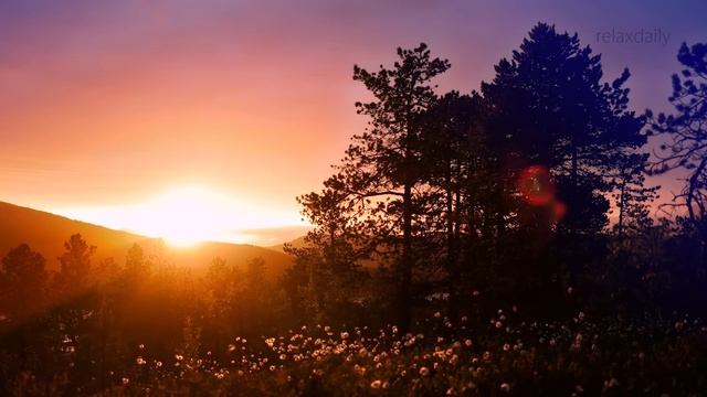 Calm Music - light, peaceful, soothing, background music [N°134 - 3h] смотреть онлайн
