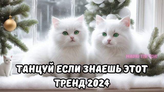 ?ТАНЦУЙ ЕСЛИ ЗНАЕШЬ ЭТОТ ТРЕНД 2024? смотреть онлайн