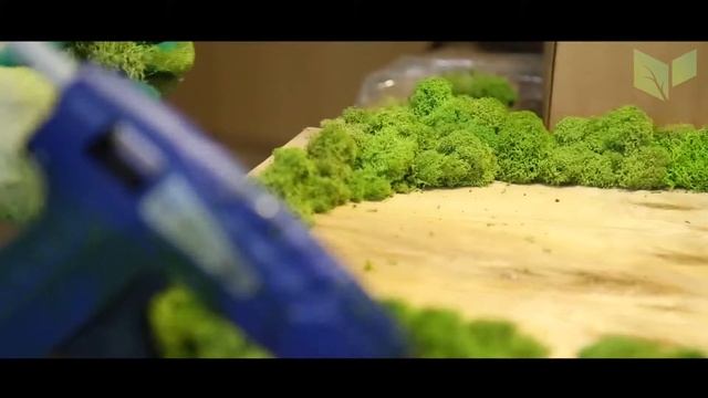 Как создаются фитостены смотреть онлайн