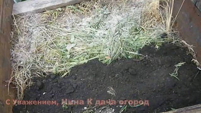 ? Как легко сделать Компост своими руками. Без Вложений? Бери и делай смотреть онлайн