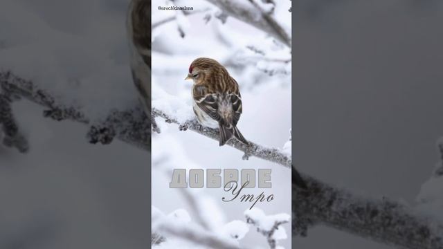 ?Рассвет за окном смотреть онлайн