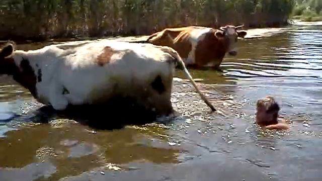 Новый водный транспорт смотреть онлайн