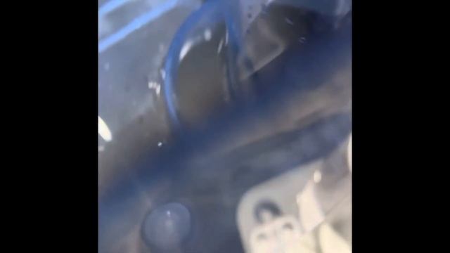 Leaking equate warm mist Humidifier! смотреть онлайн