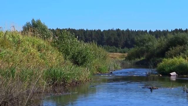 Сплав на байдарках по реке Медведица. Тверская область. Лоция под водный поход на байдарке смотреть онлайн