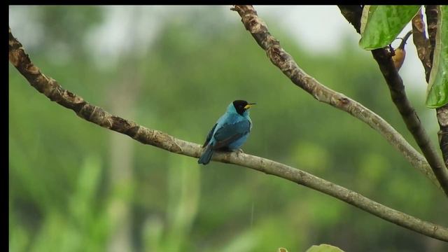 Liberte Sua Mente. Dê Asas A Sua Imaginação E Seja Feliz.