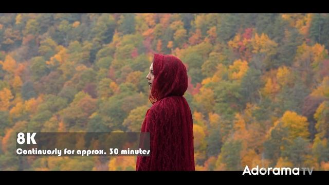 Sony A7R V Mirrorless Camera | Hands On Overview