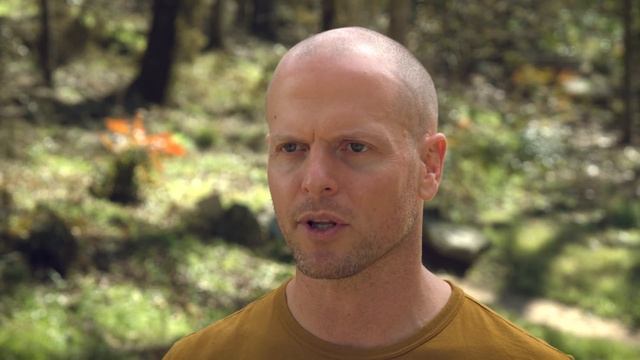 How to Get Back on Track After Slipping Up (Habits, Diet, etc.) | Tim Ferriss смотреть онлайн