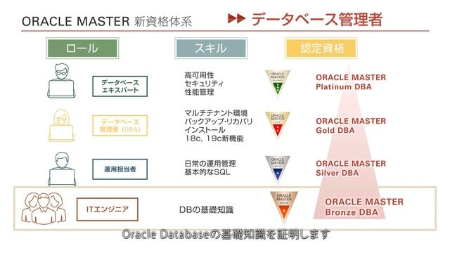 ORACLE MASTER 新資格体系のご紹介（概要編） смотреть онлайн