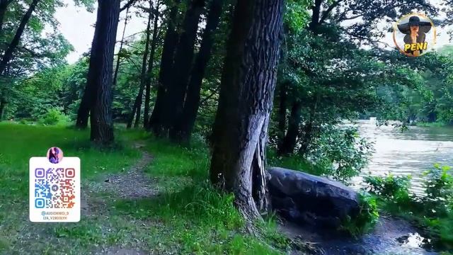 На курорте жена с турками развлекается, а я с тёщей / Истории из Жизни смотреть онлайн