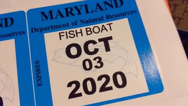 Floaty Boat Fishing Decals смотреть онлайн