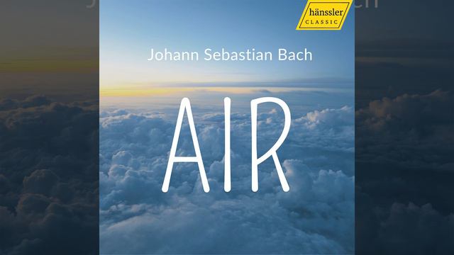 Partita No. 6 in E Minor, BWV 830: IV. Air смотреть онлайн